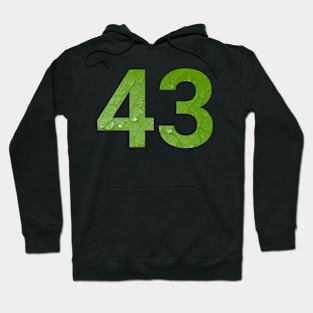 43 celebration day with nature Hoodie